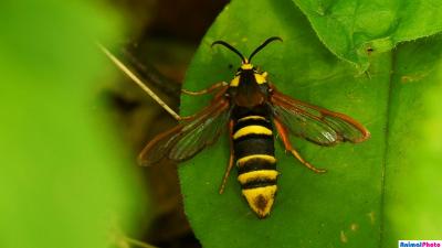 Прикрепленное изображение: стекло.jpg